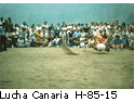 Lucha Canaria H_85_15