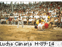 Lucha Canaria H_89_14